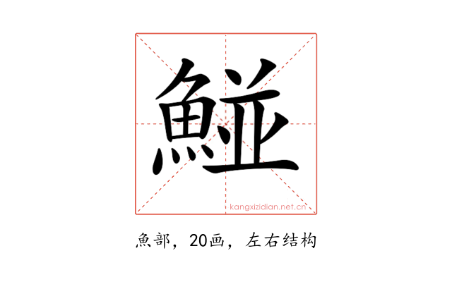 𩹁