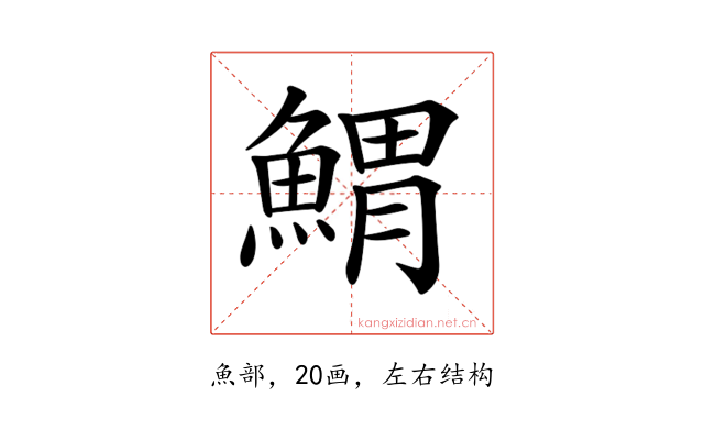𩹂