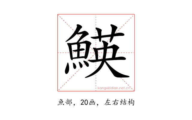 𩹅
