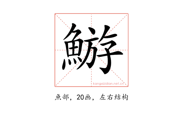 𩹊