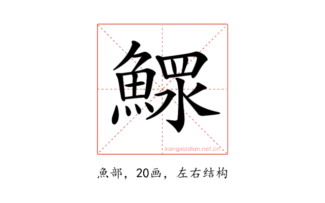 𩹌