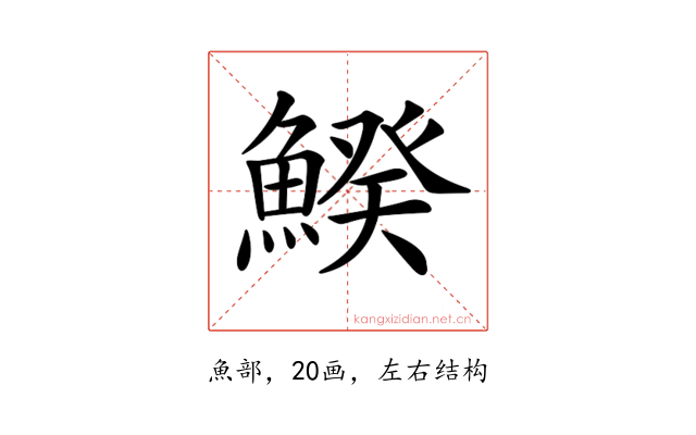 𩹍