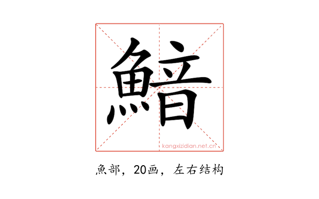 𩹎