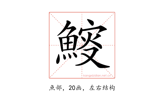 𩹔