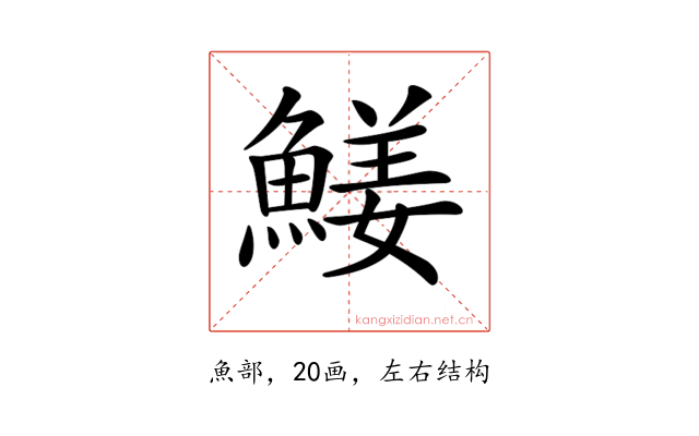 𩹖