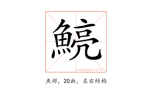 𩹗