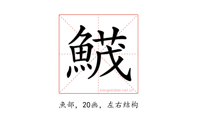 𩹛