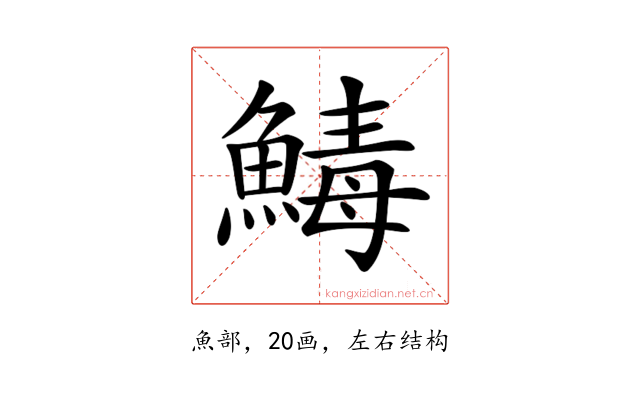 𩹝