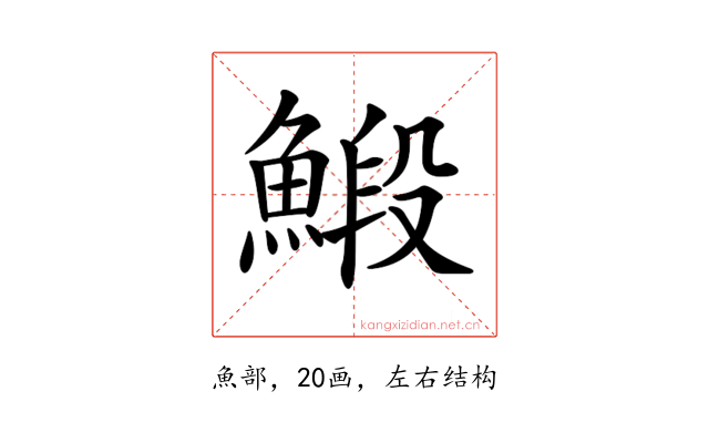 𩹨