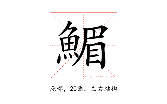 𩹪