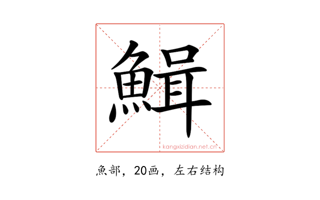 𩹫
