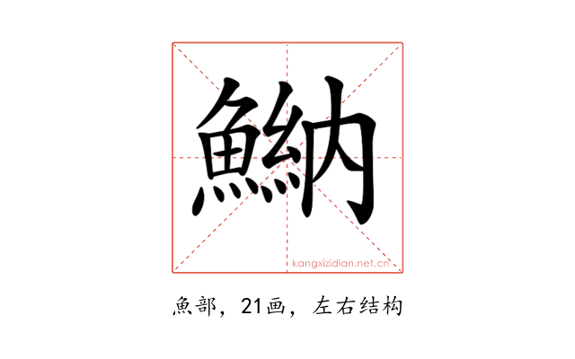 𩹾