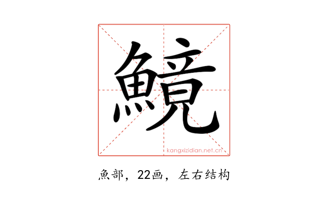 𩺿
