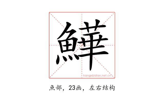 𩻮