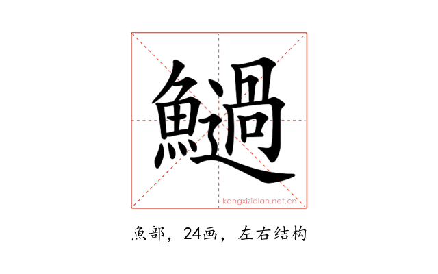 𩼣