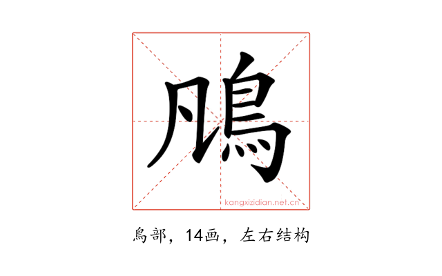 𩾨