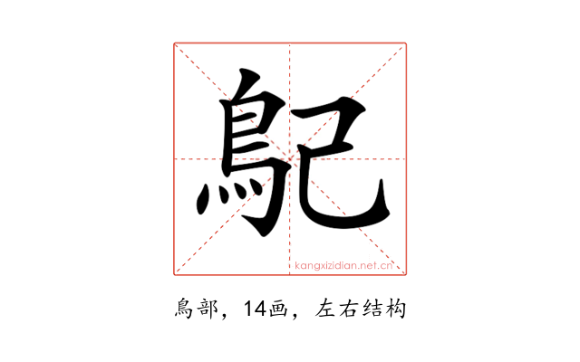 𩾩