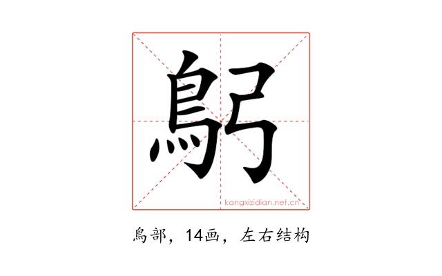 𩾫
