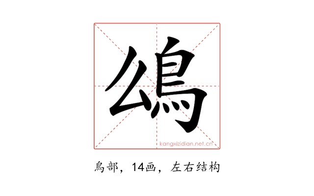 𩾮