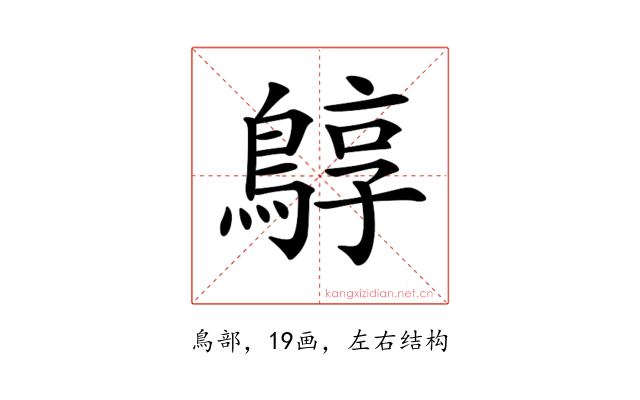 𪂎