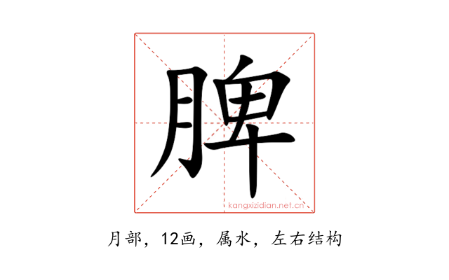 脾