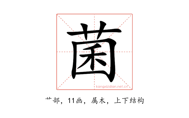 菌