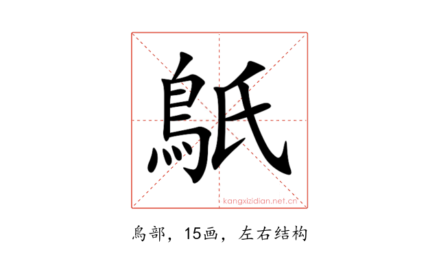 䲬