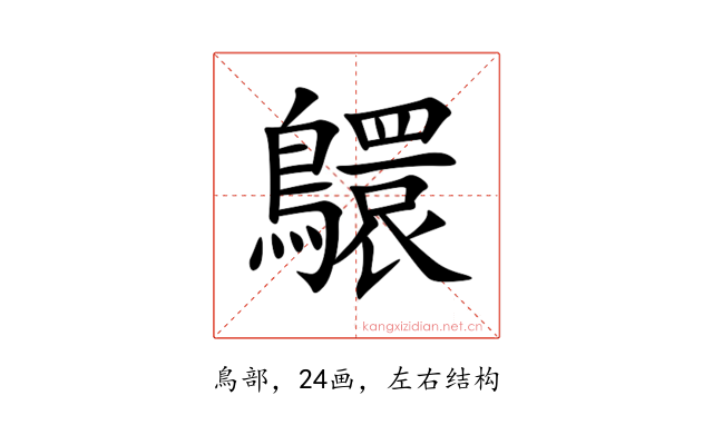 䴋