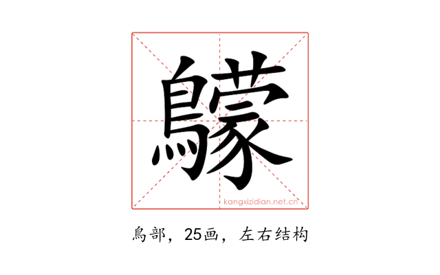 䴌