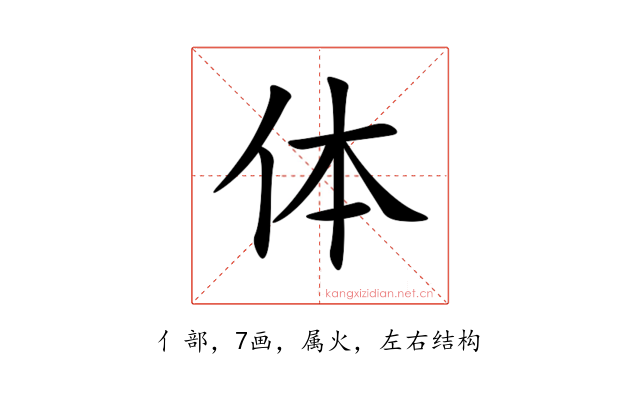 体