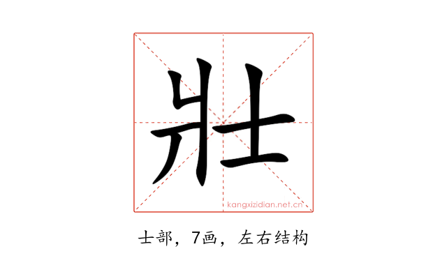 壯