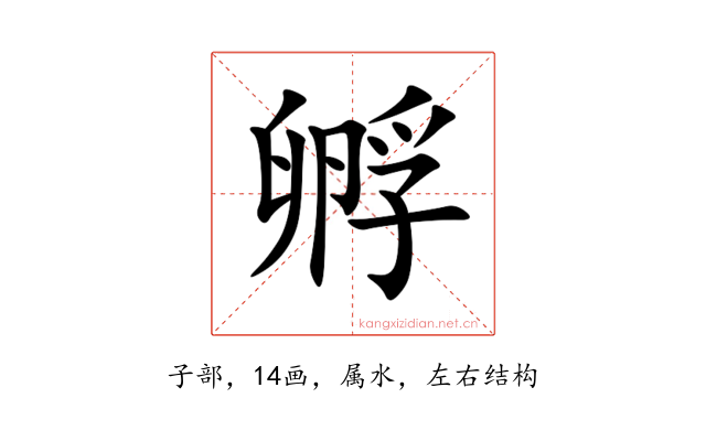 孵