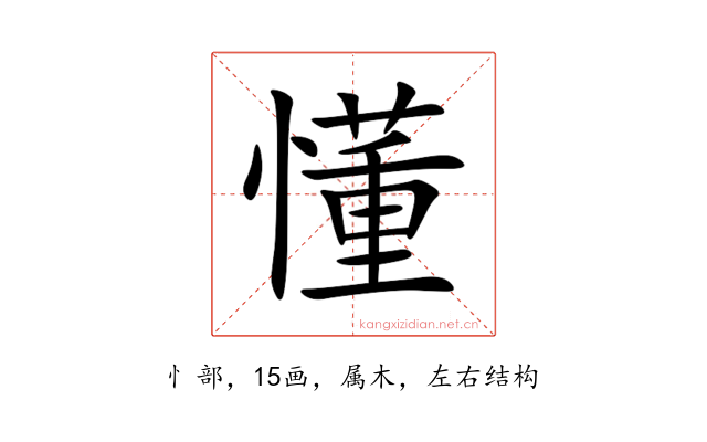 懂