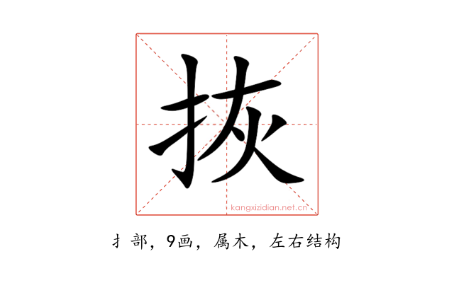 拻