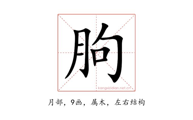 朐
