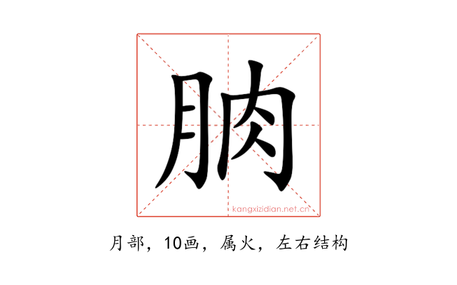 朒