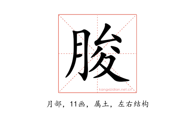 朘