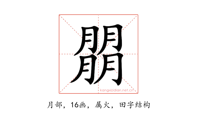 朤
