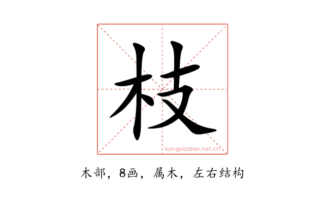 枝