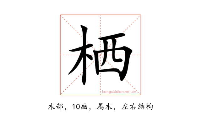 栖