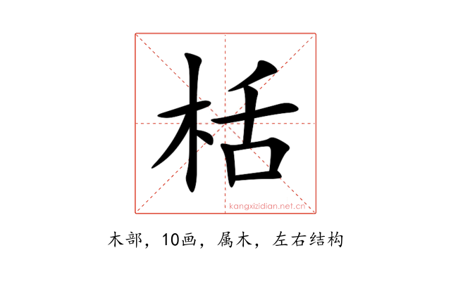 栝