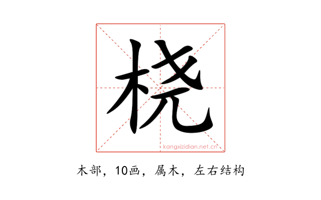 桡