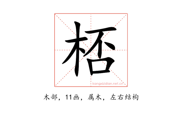 桮