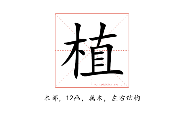 植