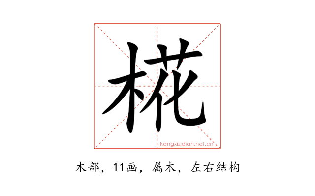 椛
