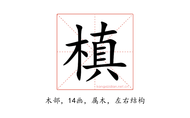 槙