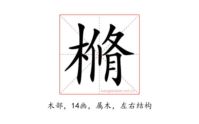 樇