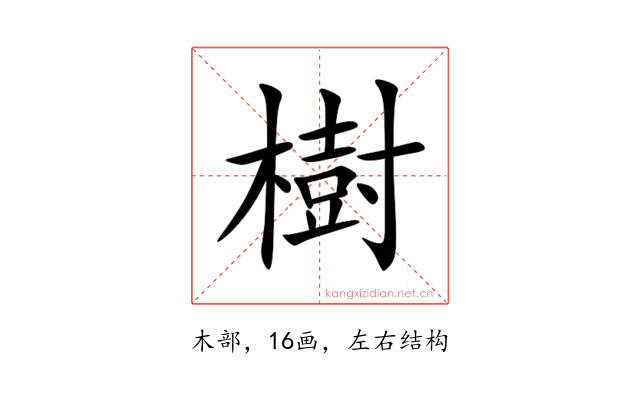 樹
