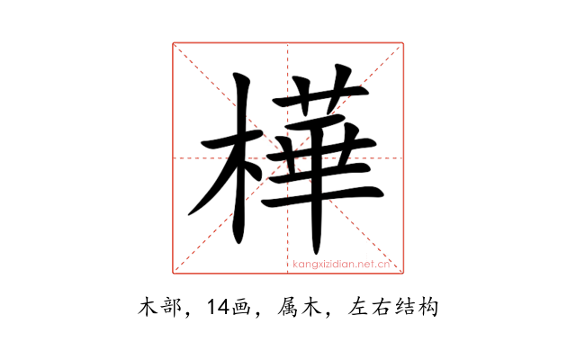 樺