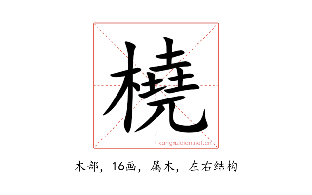 橈